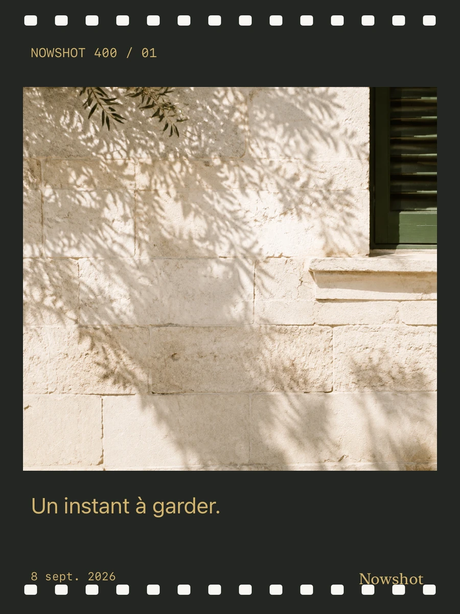 Une photo d’ombres d’arbre dans un cadre de pellicule sombre, réalisée avec Nowshot