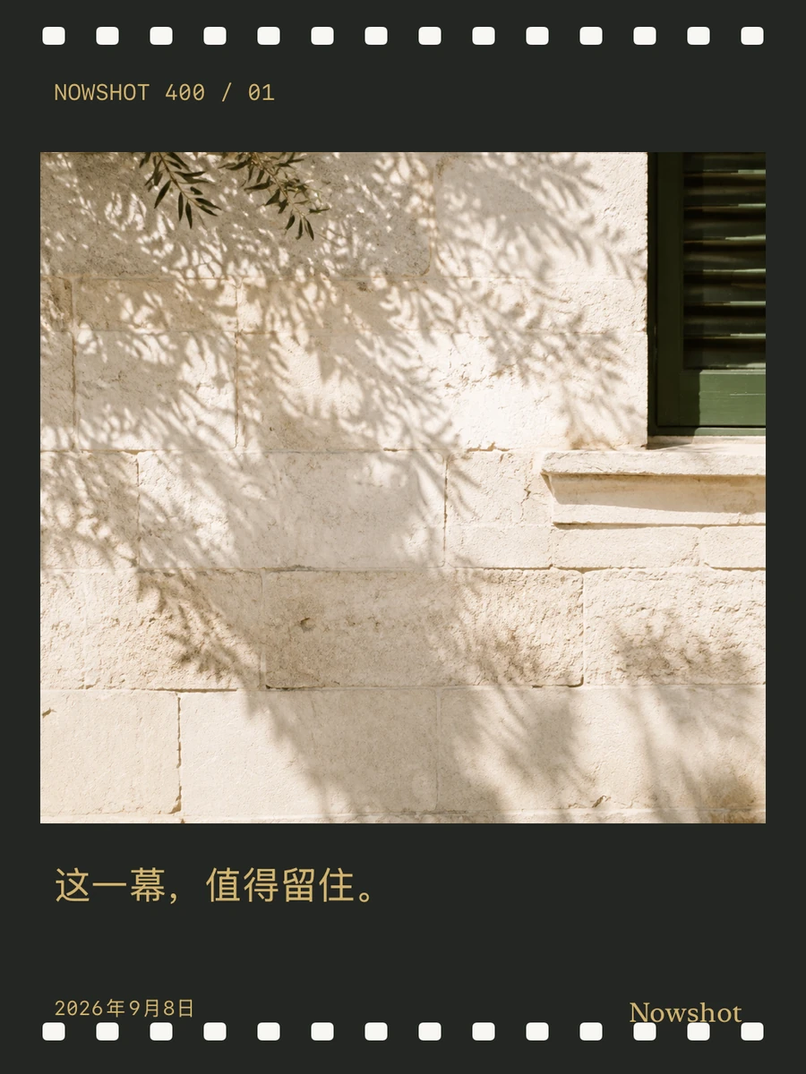 此刻导出的胶卷作品：树影照片搭配深色胶片边框