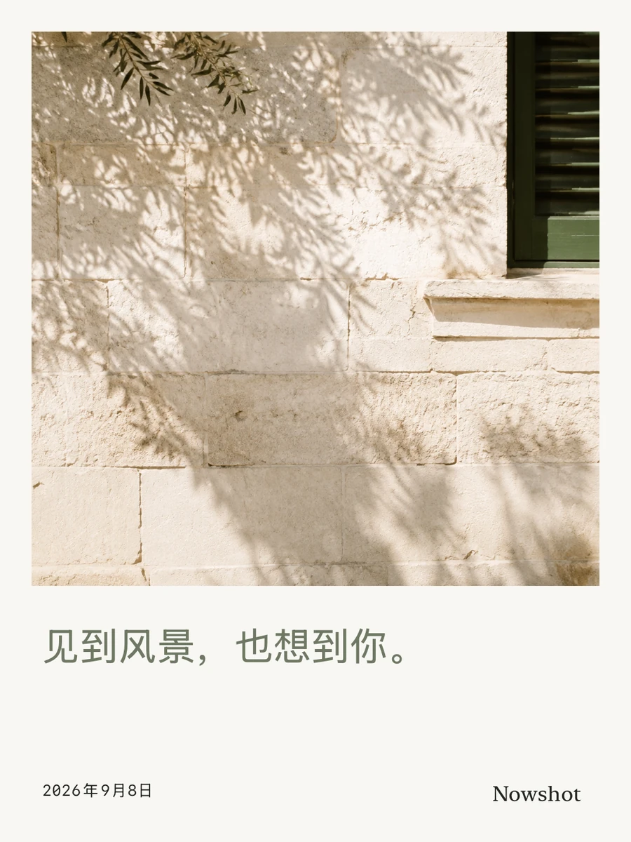 此刻导出的明信片作品：树影照片配文